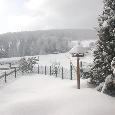 Waldblick