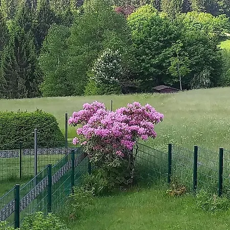 Waldblick Siegmundsburg