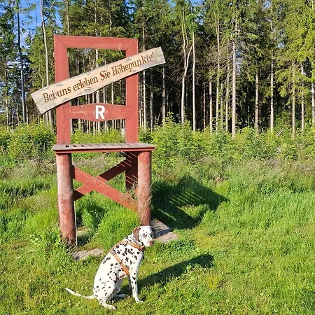Waldblick