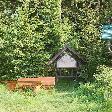 Waldblick